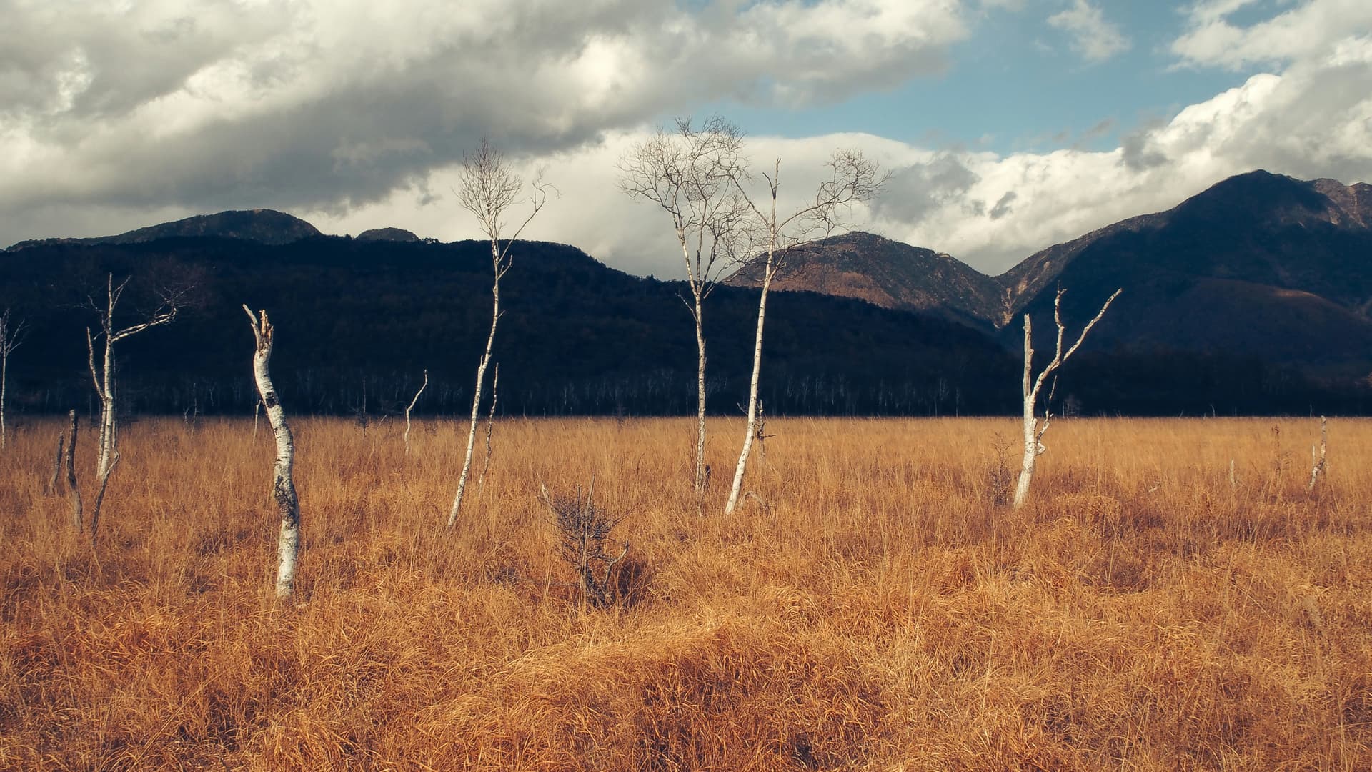 Photo by Thomas Rohlfs in Unsplash